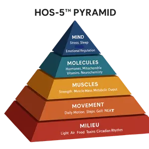 HOS-5Pyramid-Corrected