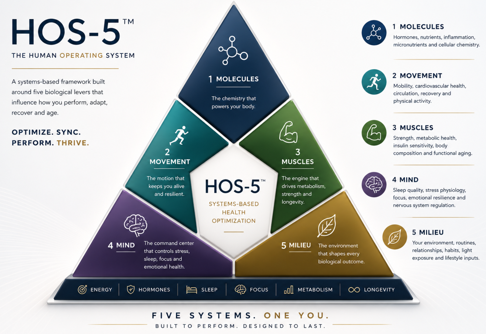 The Human Operating System Explained