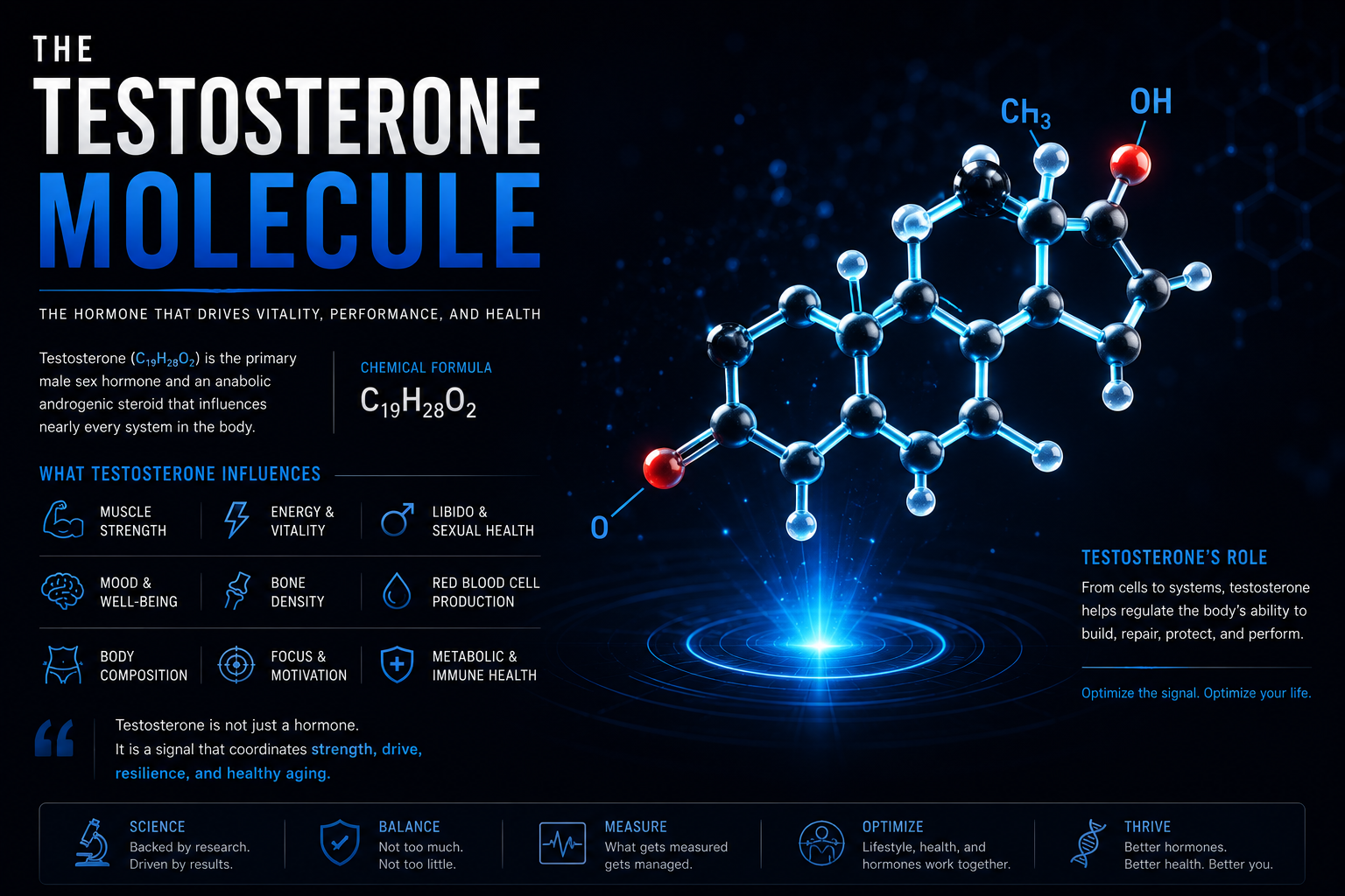 The Testosterone Molecule Image